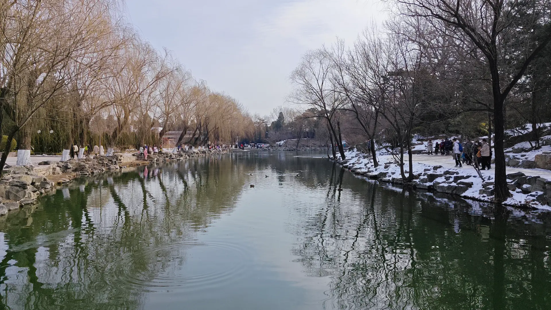 清华的校园环境