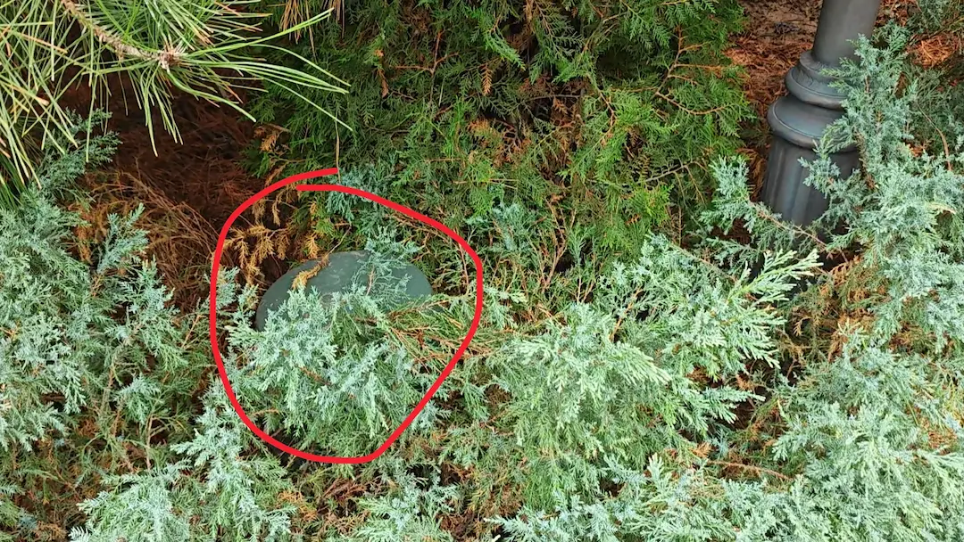 树林中藏的音箱