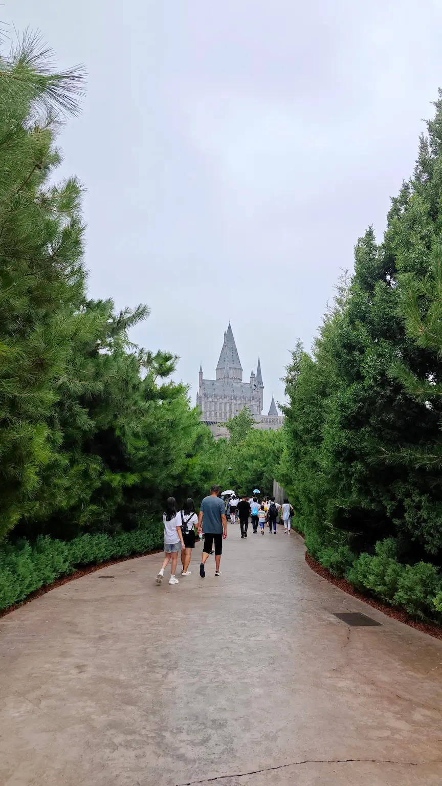 哈利波特城堡旁的小树林