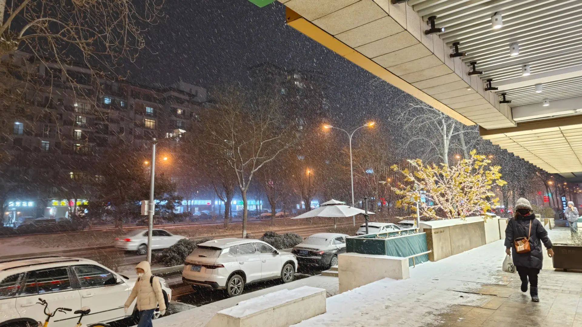 考试当天下的大雪